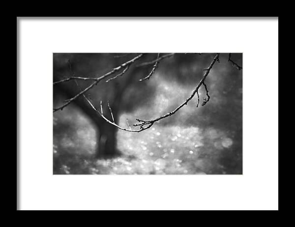 Avant-garde Framed Print featuring the photograph Fallen Leaves by Theresa Tahara