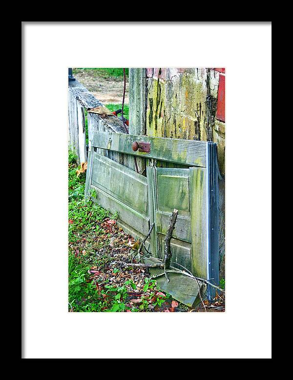Green Framed Print featuring the photograph Fallen by Melissa Newcomb