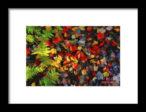Leaves Framed Print featuring the photograph Falls color palette by Dan Friend