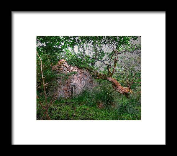 Ireland Landscape Art Framed Print featuring the photograph Fanciful Forest by Kandy Hurley