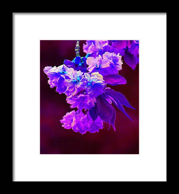 Fantasy Framed Print featuring the photograph Fantasy Flowers 2 by Margaret Saheed