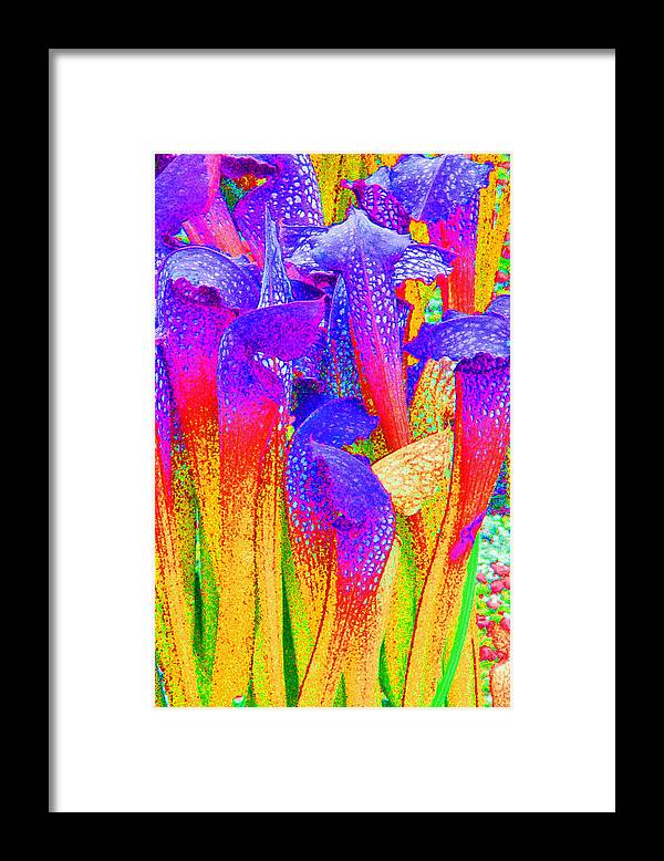 Fantasy Framed Print featuring the photograph Fantasy Flowers by Margaret Saheed