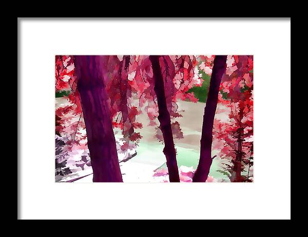 Forest Framed Print featuring the photograph Fantasy Forest by Bonnie Bruno