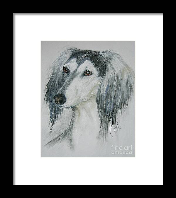Saluki Framed Print featuring the drawing Fantasy's Favorite by Cori Solomon