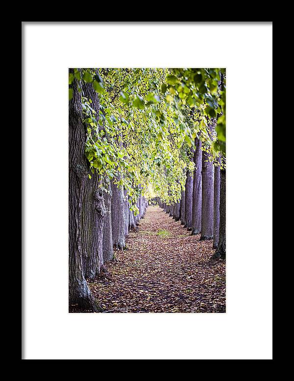 Landscape Framed Print featuring the photograph Faraway So Close by Melanie Alexandra Price