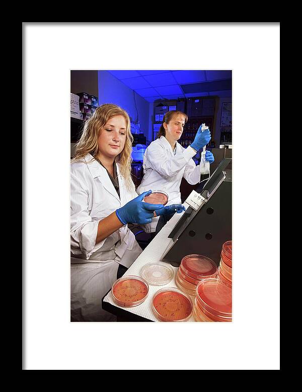 Jaime Labrie Framed Print featuring the photograph Farm Manure Bacteria Research by Peggy Greb/us Department Of Agriculture