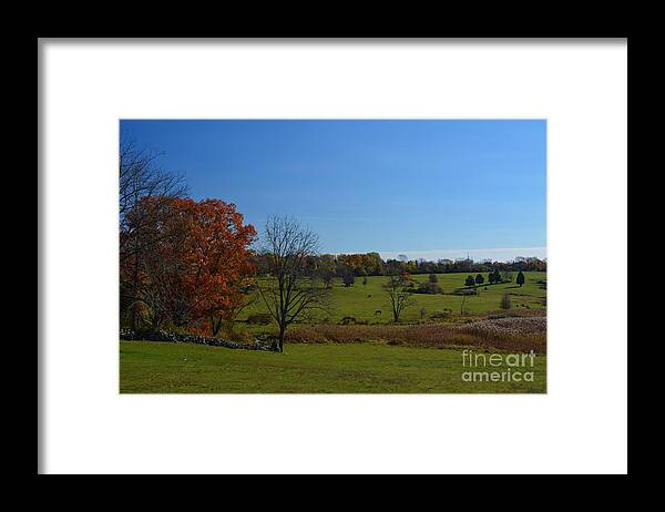  Framed Print featuring the photograph Farm View by Tammie Miller