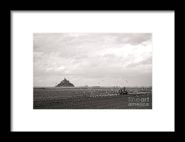 France Framed Print featuring the photograph Farm Work at Mont Saint Michel by Olivier Le Queinec