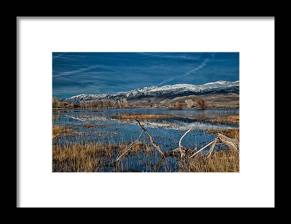 Pond Framed Print featuring the photograph Farmers Pond by Cat Connor