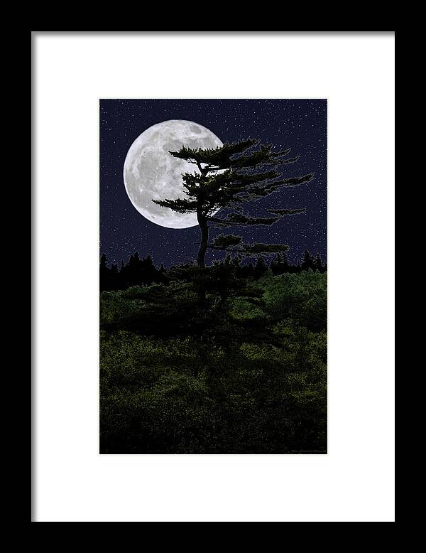 Tree In Silhouette Framed Print featuring the photograph Favorite Tree in Full Moon Silhouette by Marty Saccone