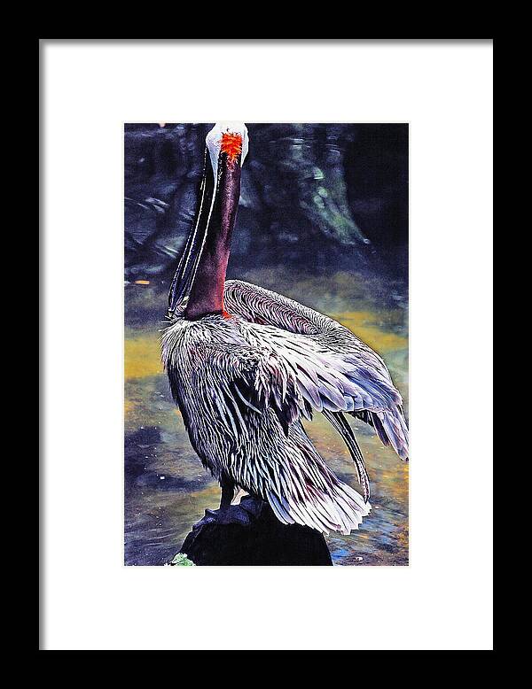 Brown Framed Print featuring the painting Feather Fluffing by Donna Proctor