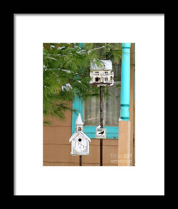 Bird Houses Framed Print featuring the photograph Feathered Friends welcome by Nancy Patterson
