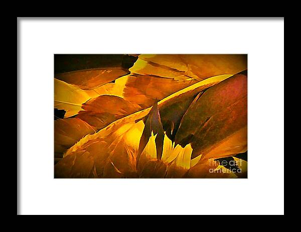 Feathers Framed Print featuring the painting Feathers by John Malone