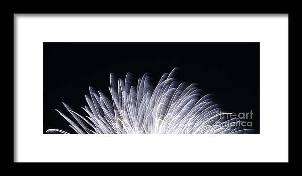 Fourth Of July Fireworks Framed Print featuring the photograph Feathers of Fire Fireworks by Robert E Alter Reflections of Infinity