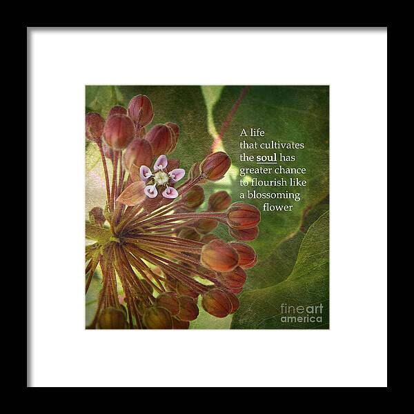 Milkweed Flower Framed Print featuring the photograph Feed The Soul by Kathi Mirto