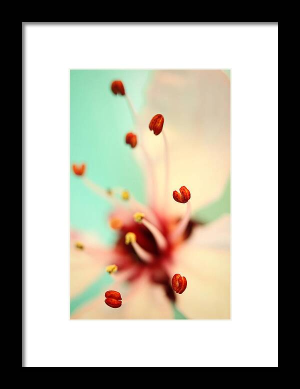 Blossom Framed Print featuring the photograph Feeling Spring by Sharon Johnstone