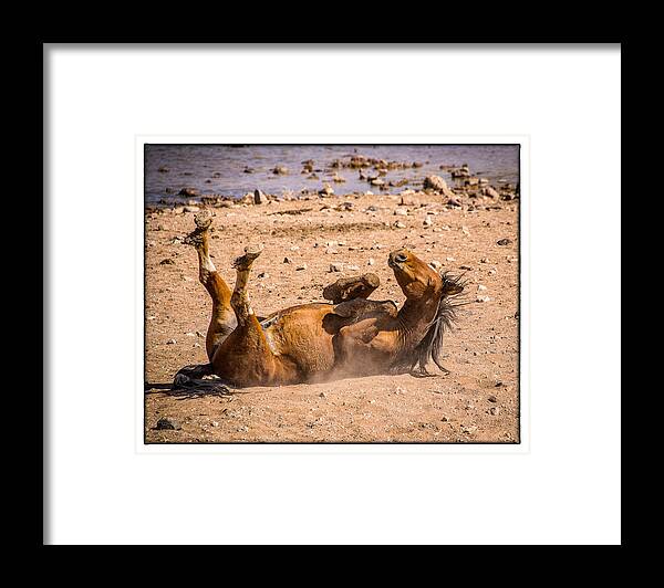 Wild Horse Framed Print featuring the photograph Feels SO Good by Janis Knight