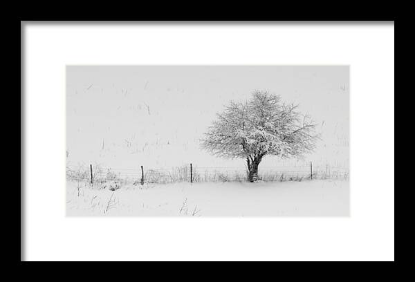 Fence Framed Print featuring the photograph Fence line in the Wintertime by Holden The Moment