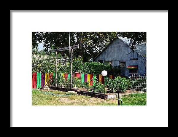 Fence Framed Print featuring the photograph Fence of Colors by Kelly Kitchens