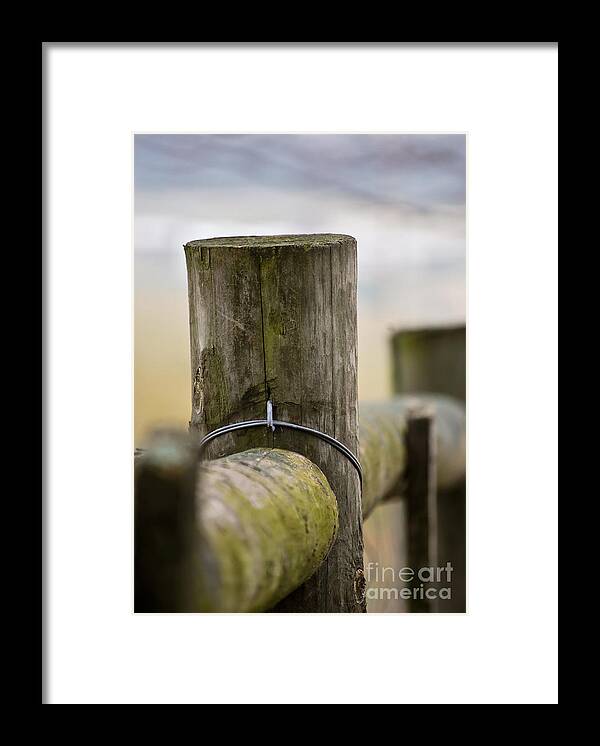 Post Framed Print featuring the photograph Fence Post by Kerri Farley