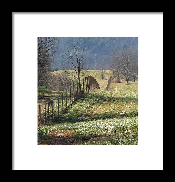 Fence Framed Print featuring the photograph Fence View by Anita Adams