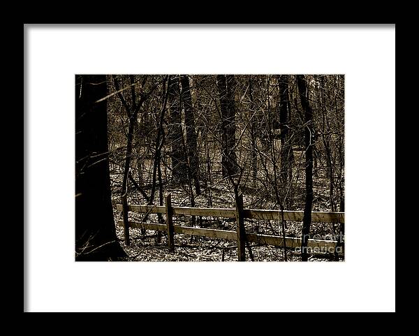 Blackandwhite Framed Print featuring the photograph Fence In The Woods by Frank J Casella