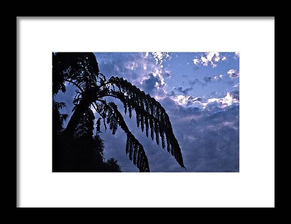 Silhouette Framed Print featuring the photograph Fern at twilight by Jenny Setchell