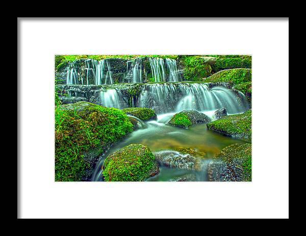 Fern Spring Framed Print featuring the photograph Fern Spring Reflections Of An Overcast Day by Steven Barrows