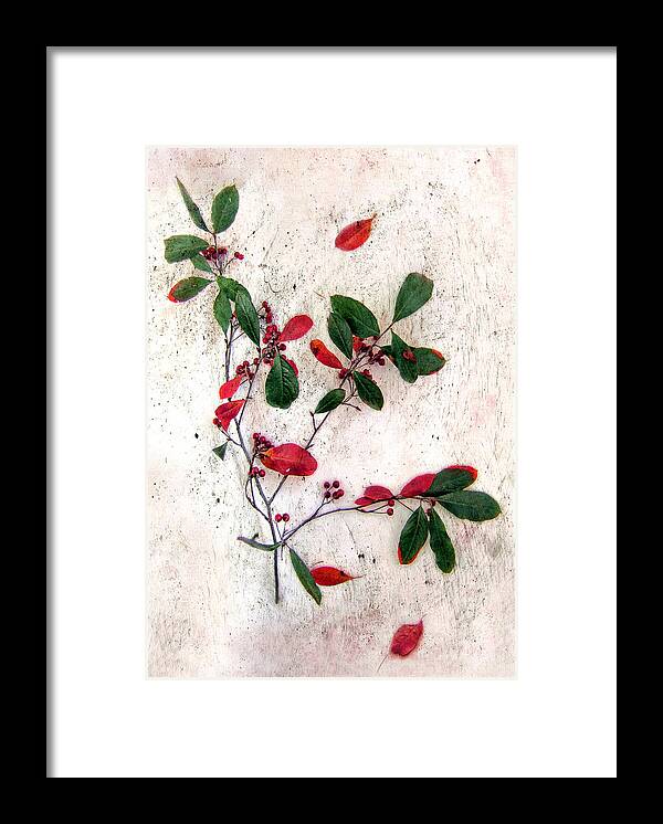 Christmas Framed Print featuring the photograph Festive Red Berries by Louise Kumpf