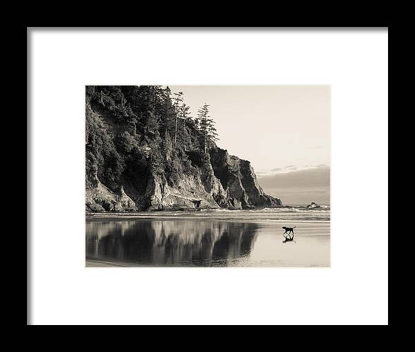Oregon Framed Print featuring the photograph Fetch on the Beach by Scott Rackers