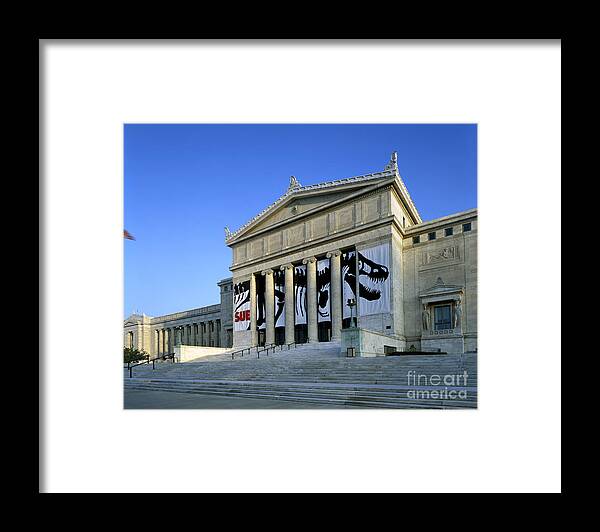 Field Framed Print featuring the photograph Field Museum Of Natural History by Rafael Macia