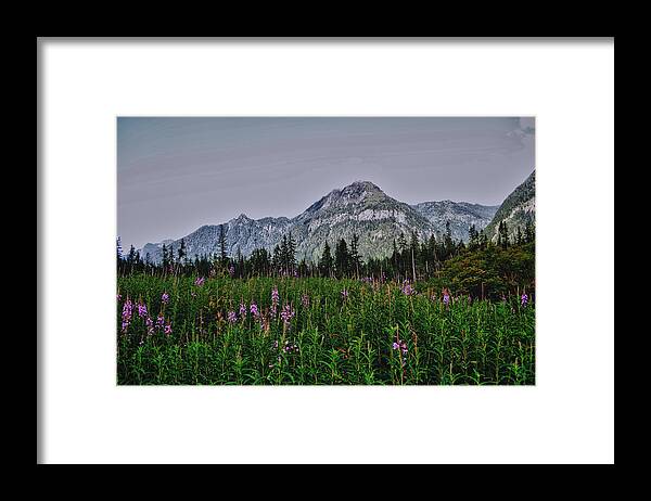 Big Four Framed Print featuring the photograph Field Of Dreams by Kelly Reber