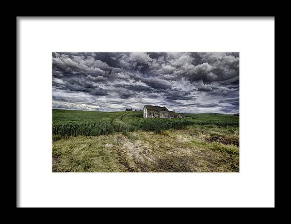 Dreams Framed Print featuring the photograph Field of Dreams by Patricia Dennis