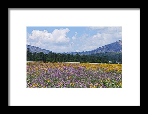 Spring Framed Print featuring the photograph Field of Dreams by Tom Kelly