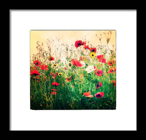 Flower Framed Print featuring the photograph Field of Poppy's by Spikey Mouse Photography