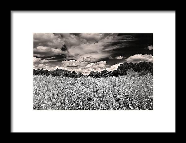 Black And White Framed Print featuring the photograph Fields of Gold and Clouds by Mitchell R Grosky