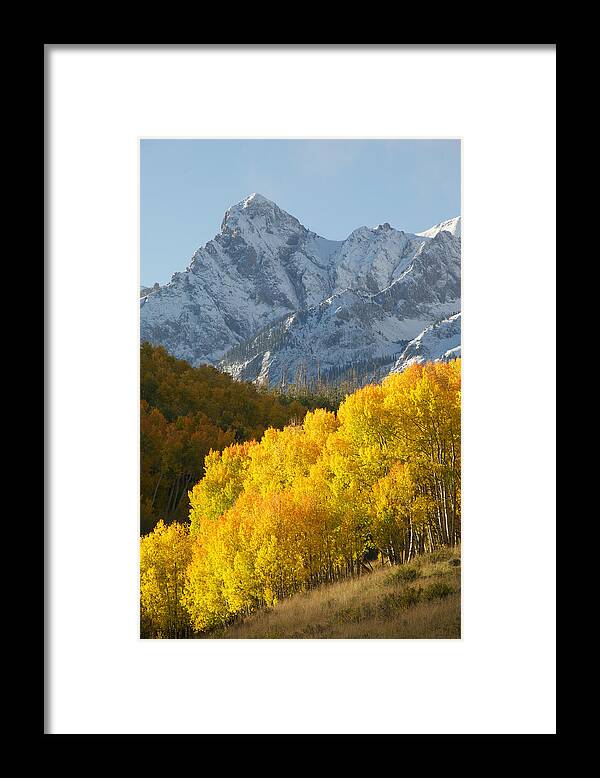 Fiery Framed Print featuring the photograph Fiery Aspen Landscape by Aaron Spong