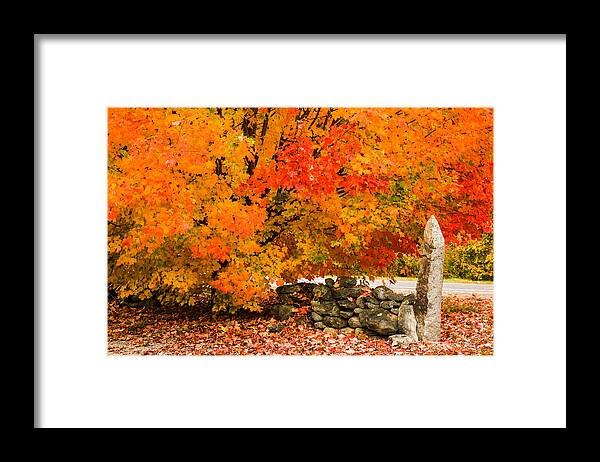 Autumn Foliage New England Framed Print featuring the photograph Fiery rock wall by Jeff Folger