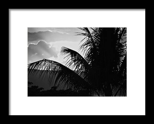 Black And White Framed Print featuring the photograph Fifty by Donna Shahan