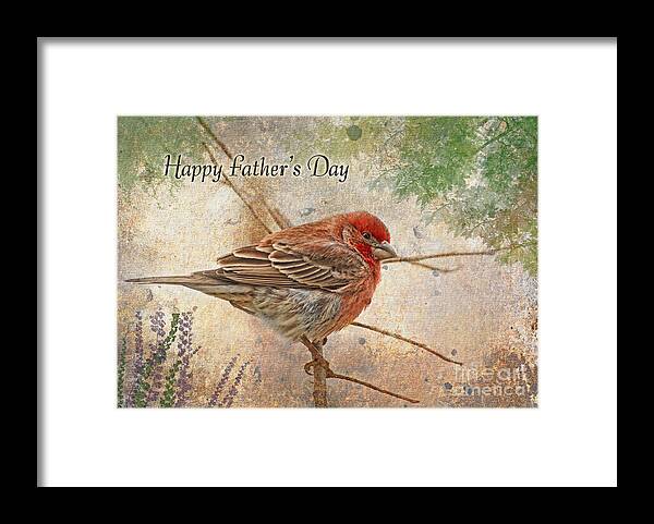 Nature Framed Print featuring the photograph Finch Greeting Card Father's Day by Debbie Portwood