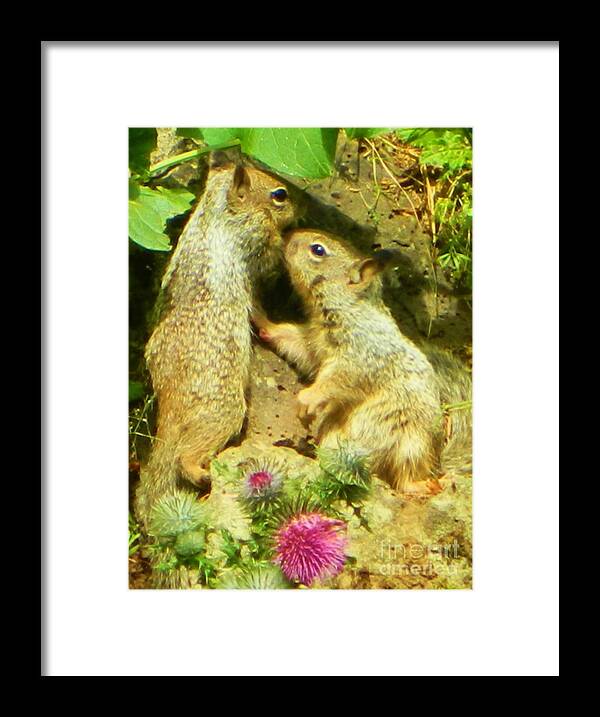 Nature Framed Print featuring the photograph Finding Shelter by Gallery Of Hope 