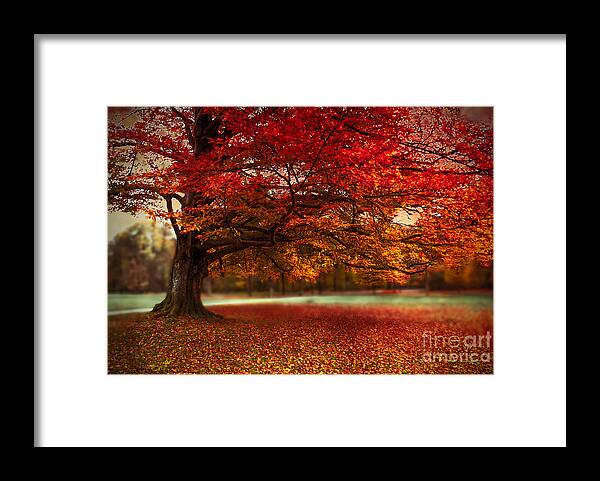 Autumn Framed Print featuring the photograph Finest Fall by Hannes Cmarits