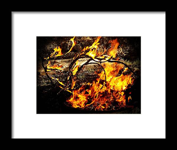 Fire Framed Print featuring the photograph Fire Fairies by Susan Kinney