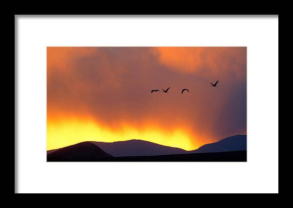 Sandhill Framed Print featuring the photograph Fire in the Sky by Jack Nevitt