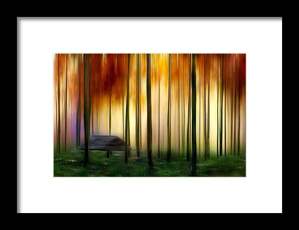 Fire Framed Print featuring the photograph Fire by Russell Brown