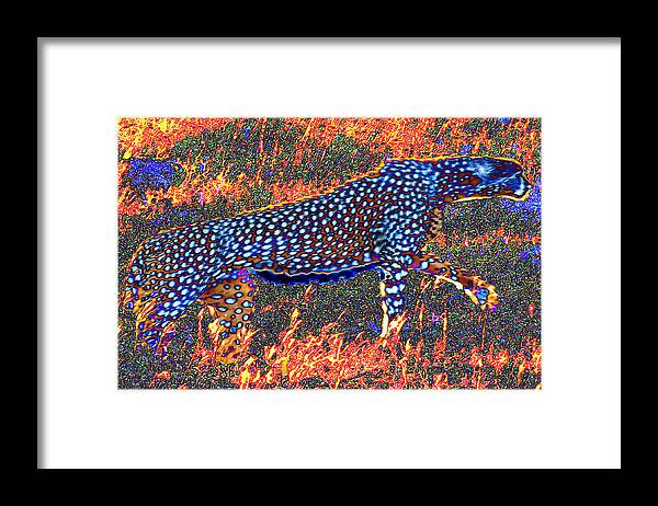 Cheetah Framed Print featuring the digital art Fire Spirit by Philip Brent