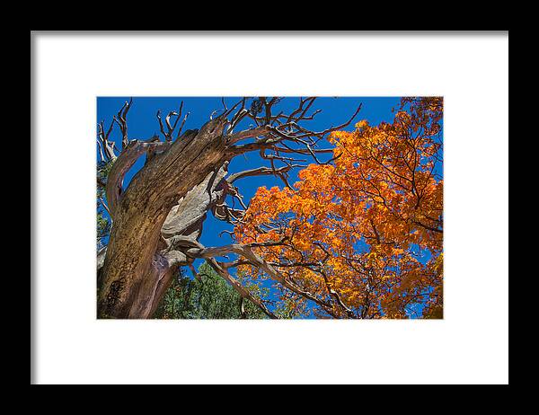 Guadalupe Mountains National Park Framed Print featuring the photograph Firebreather by JL Griffis