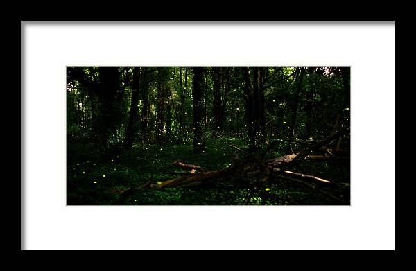 Firefly Framed Print featuring the photograph Firefly Magic by Stacy Abbott