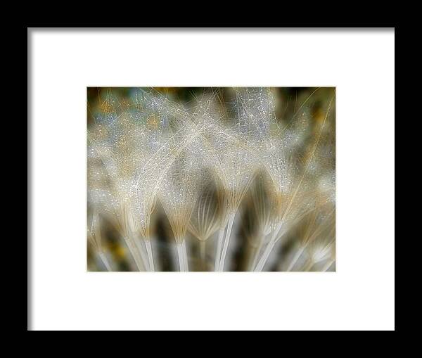 Lanas Framed Print featuring the photograph Fireworks Nature... by Thierry Dufour