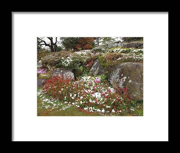Floral Framed Print featuring the photograph First Autumn Snow by Barbara McDevitt